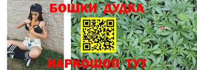 мдпв Кудрово