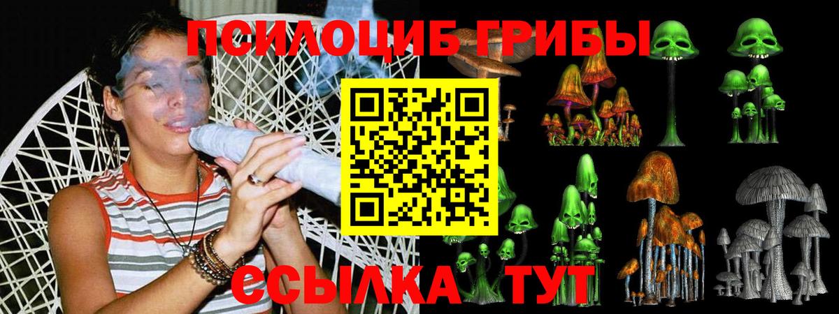 Галлюциногенные грибы прущие грибы Белогорск