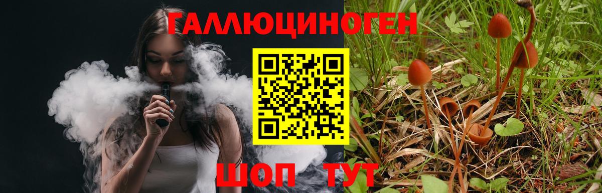Белогорск  наркотики  Вход с VPN  Псилоцибиновые грибы ЛСД 