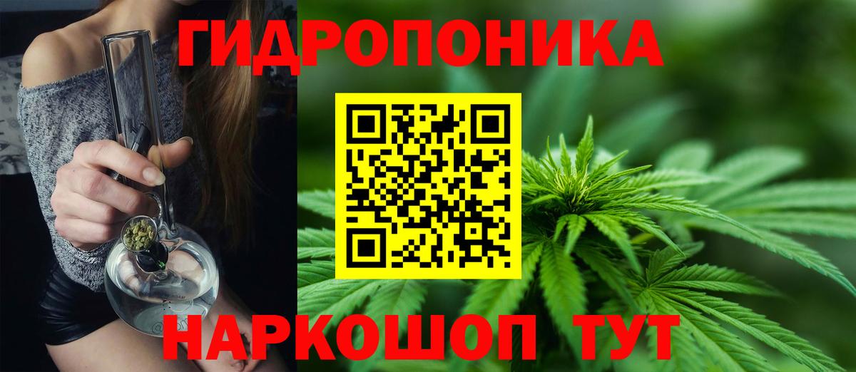Каннабис гибрид Белогорск